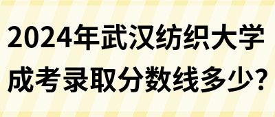 2024年武汉纺织大学成考录取分数线多少？(图1)
