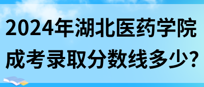 2024年湖北医药学院成考录取分数线多少？(图1)