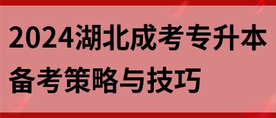 2024湖北成考专升本备考策略与技巧(图1)