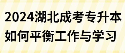 2024湖北成考专升本如何平衡工作与学习(图1)