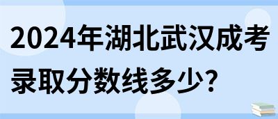 2024年湖北武汉成考录取分数线多少？