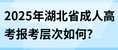 2025年湖北省成人高考报考层次如何？