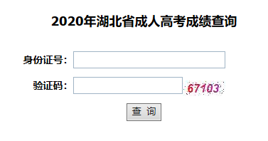 2020年武汉音乐学院成人高考成绩查询入口(图1)
