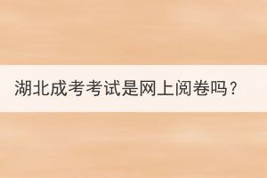 湖北成考考试是网上阅卷吗？(图1)