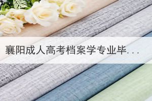 襄阳成人高考档案学专业毕业后去向有哪些？