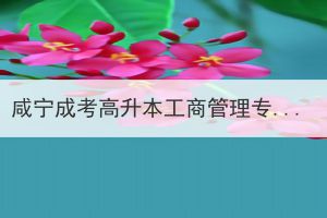 咸宁成考高升本工商管理专业的业余形式难度怎么样？(图1)