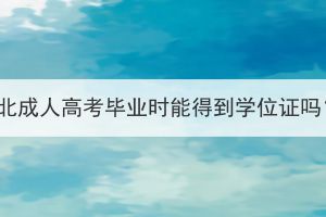 湖北成人高考毕业时能得到学位证吗？(图1)