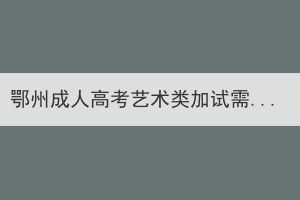 鄂州成人高考艺术类加试需要自带考试工具吗？(图1)