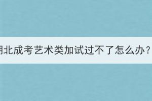 湖北成考艺术类加试过不了怎么办？(图1)