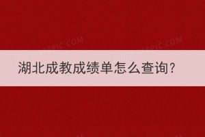 湖北成教成绩单怎么查询？(图1)