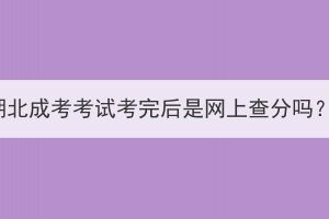 湖北成考考试考完后是网上查分吗？(图1)