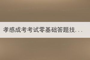 孝感成考考试零基础答题技巧