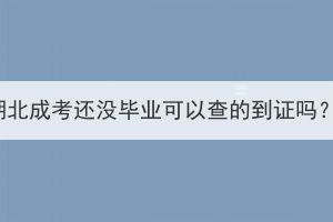 湖北成考还没毕业可以查的到证吗？(图1)