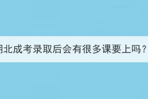 湖北成考录取后会有很多课要上吗？(图1)