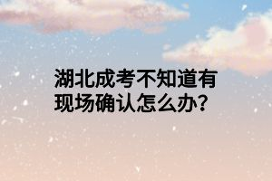 湖北成考不知道有现场确认怎么办？