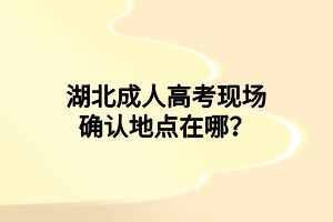 湖北成人高考现场确认地点在哪？