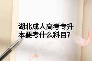 湖北成人高考专升本要考什么科目？(图1)