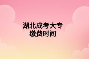 湖北成考大专缴费时间(图1)