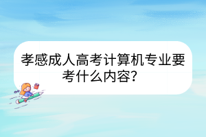 孝感成人高考计算机专业要考什么内容？(图1)