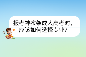 报考神农架成人高考时，应该如何选择专业？