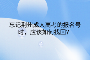 忘记荆州成人高考的报名号时，应该如何找回？(图1)