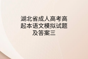 湖北省成人高考高起本语文模拟试题及答案三(图1)
