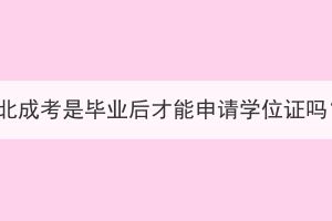 湖北成考是毕业后才能申请学位证吗？(图1)