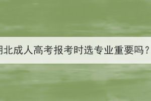 湖北成人高考报考时选专业重要吗？(图1)