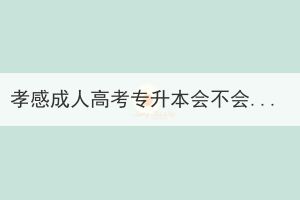 孝感成人高考专升本会不会很难考？(图1)