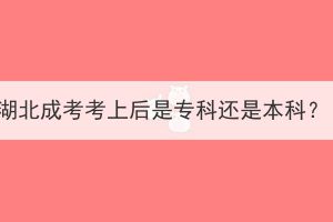 湖北成考考上后是专科还是本科？(图1)