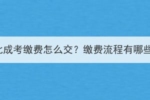 湖北成考缴费怎么交？缴费流程有哪些？