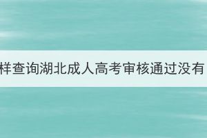 怎样查询湖北成人高考审核通过没有？